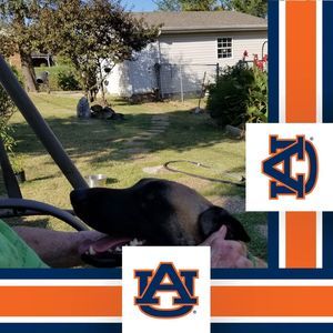 Meet your Posher, Phyllis